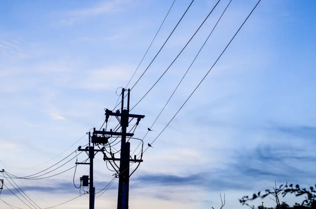 Projeto Ecotelepoles